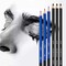 50 Pack Drawing Set Sketch Kit, Pro Art Sketching Supplies with 3-Color Sketchbook, Graphite, and Charcoal Pencils for Artists Adults Teens Beginner Kid, Ideal for Shading, Blending